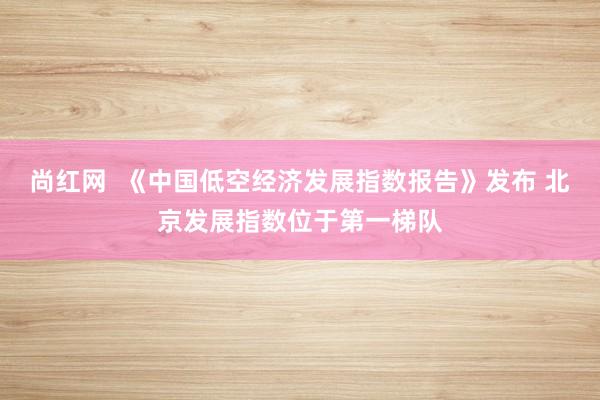 尚红网  《中国低空经济发展指数报告》发布 北京发展指数位于第一梯队