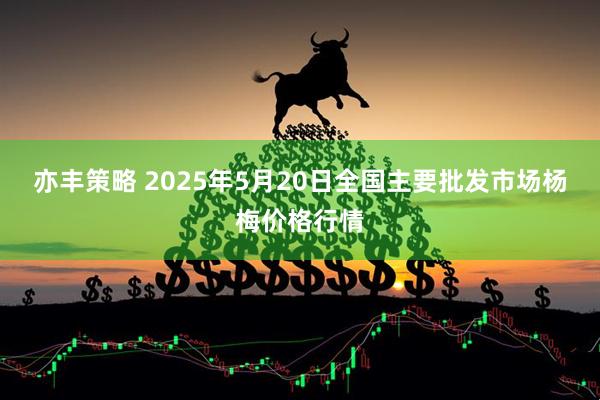 亦丰策略 2025年5月20日全国主要批发市场杨梅价格行情