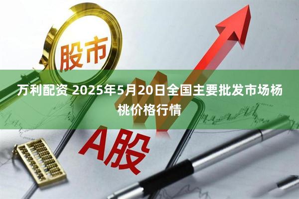 万利配资 2025年5月20日全国主要批发市场杨桃价格行情