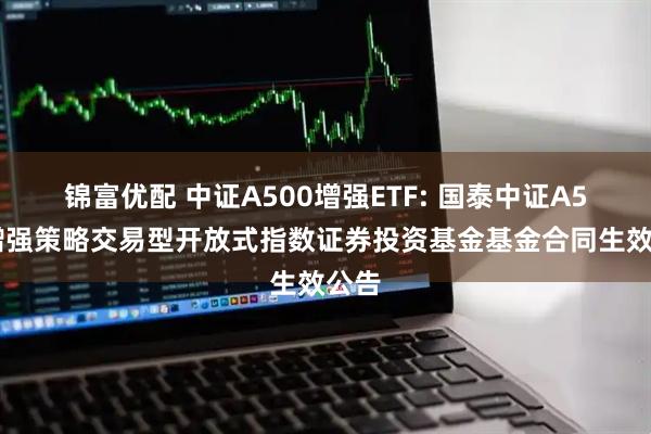 锦富优配 中证A500增强ETF: 国泰中证A500增强策略交易型开放式指数证券投资基金基金合同生效公告