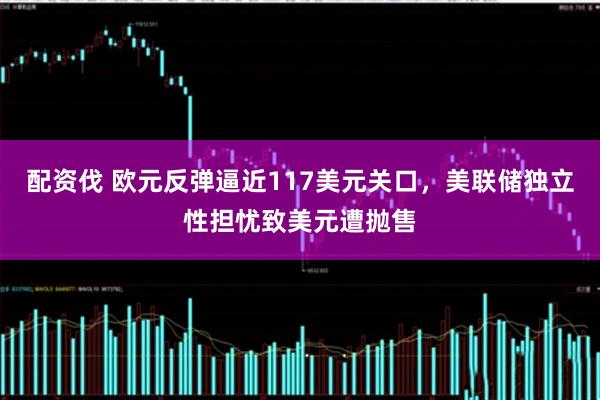 配资伐 欧元反弹逼近117美元关口，美联储独立性担忧致美元遭抛售